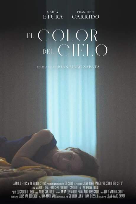 Color of Heaven (2022) movie poster