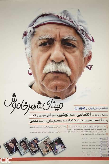 Colors of Memory (2008) movie poster