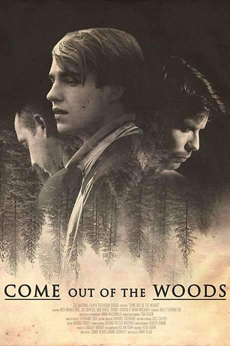 Come Out of the Woods (2017) movie poster