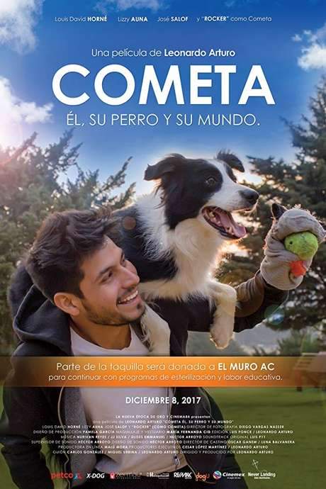 Comet: Him, His Dog and His World (2017) movie poster