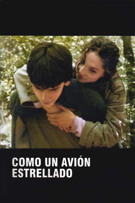 Como un avión estrellado (2005) movie poster