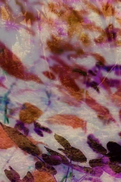 Concealed Colors of the Copse (2017) movie poster