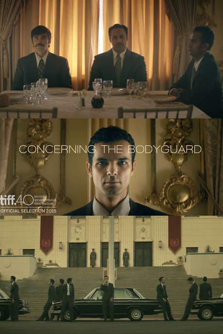 Concerning the Bodyguard (2015) movie poster