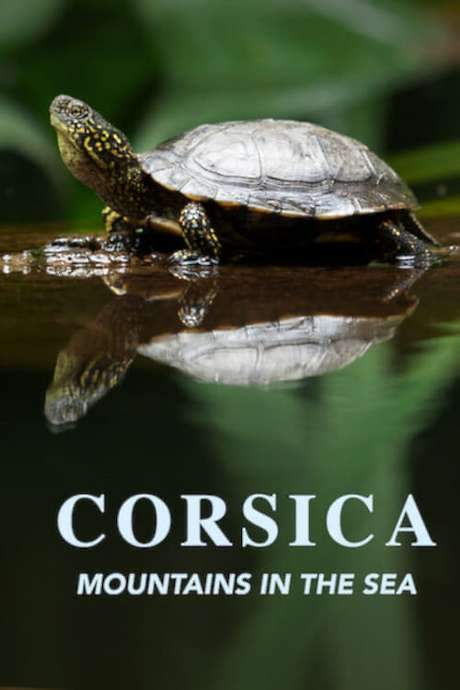 Corsica: Mountains in the Sea (2019) movie poster
