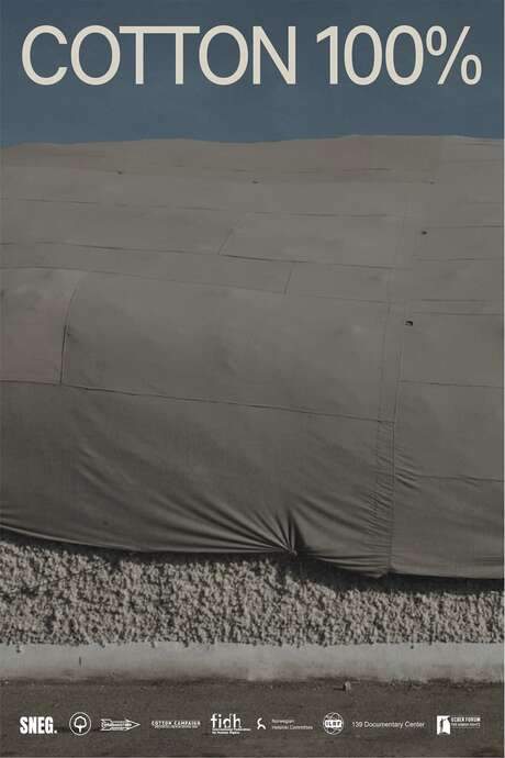 Cotton 100% (2022) movie poster