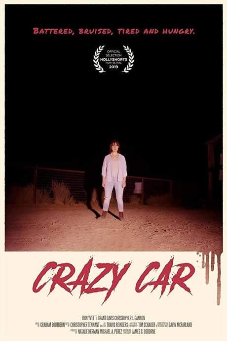 Crazy Car (2019) movie poster