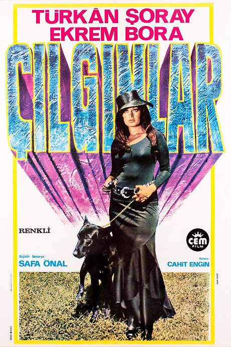 Crazy People (1974) movie poster