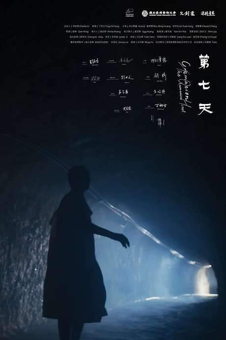 Cremation, or the Quarantine Hotel (2023) movie poster