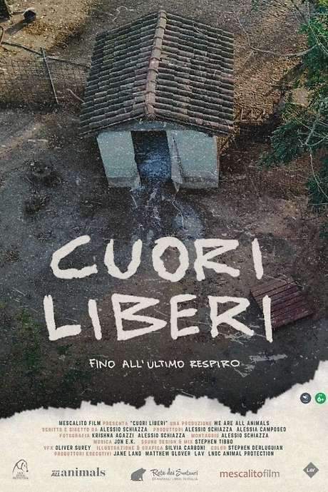 Cuori liberi - Fino all’ultimo respiro (2024) movie poster