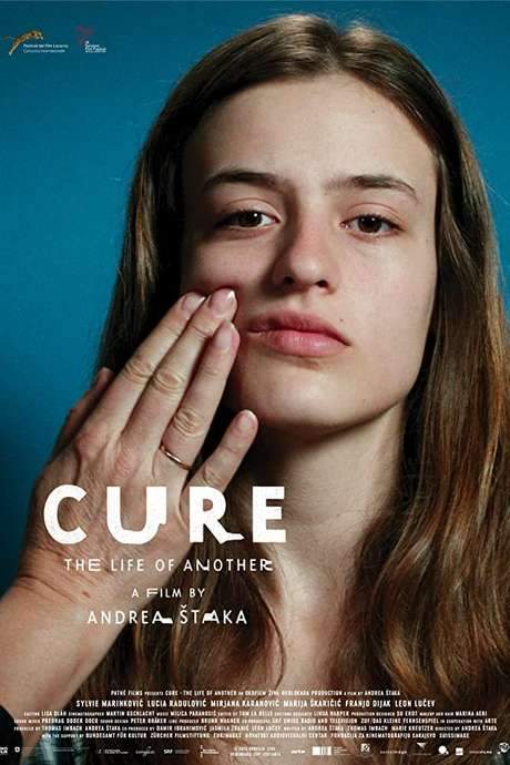 Cure: The Life of Another (2014) movie poster