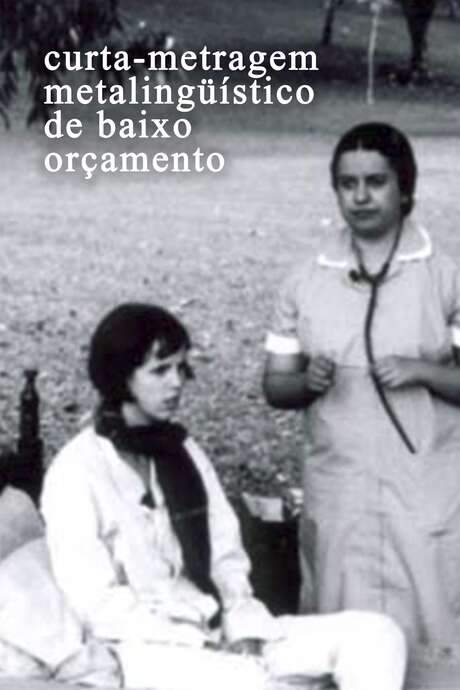 Curta-metragem Metalinguístico de Baixo Orçamento (2003) movie poster
