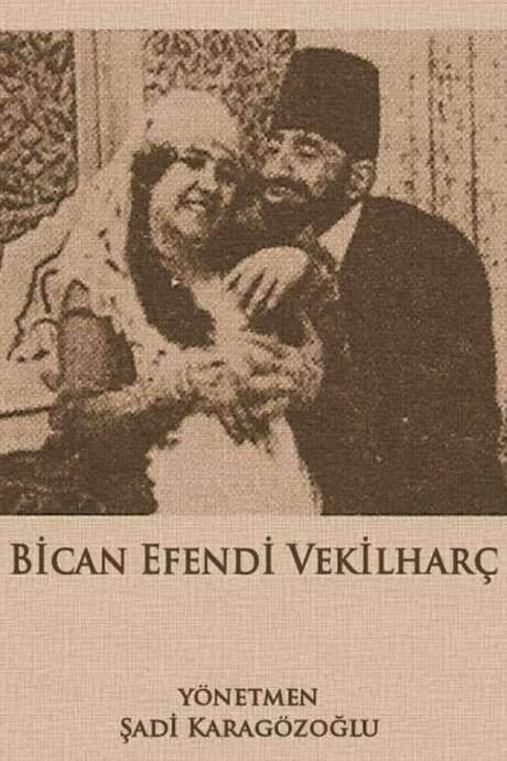 Custodian Bican (1921) movie poster