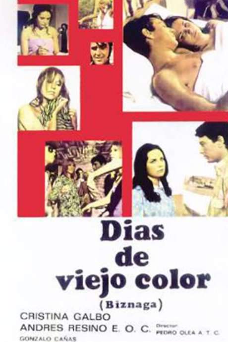 Días de viejo color (1968) movie poster