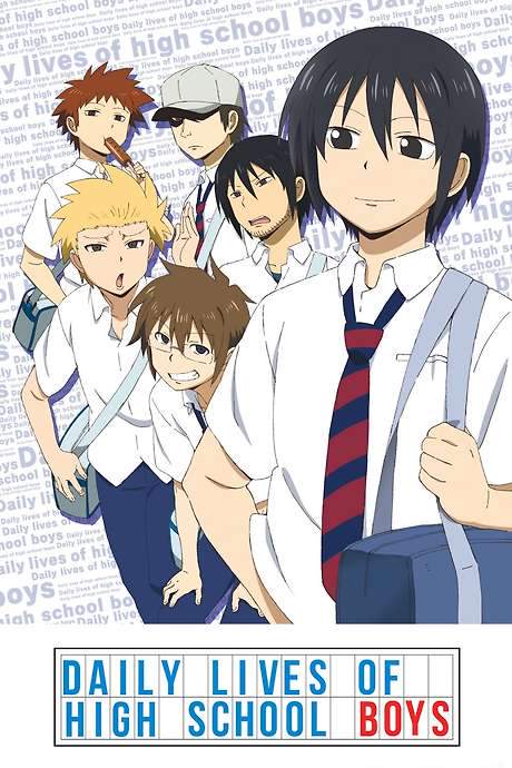 Daily Lives of High School Boys (2012) movie poster