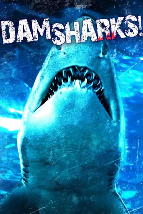 Dam Sharks! (2016) movie poster