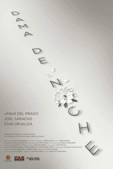 Dama de Noche (2020) movie poster