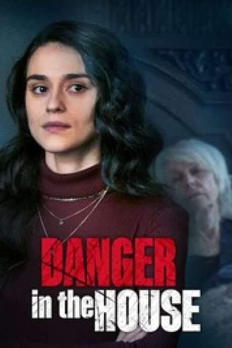 Danger in the House (2022) movie poster