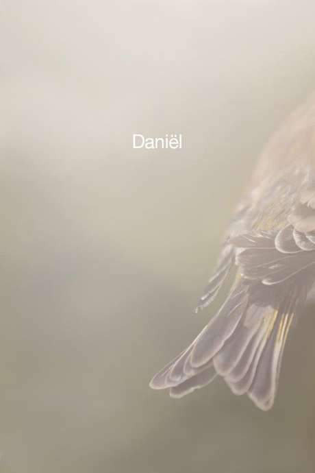 A poetic coming-of-age story as a teenage boy explores love.