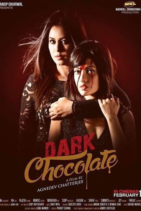 Dark Chocolate (2016) movie poster