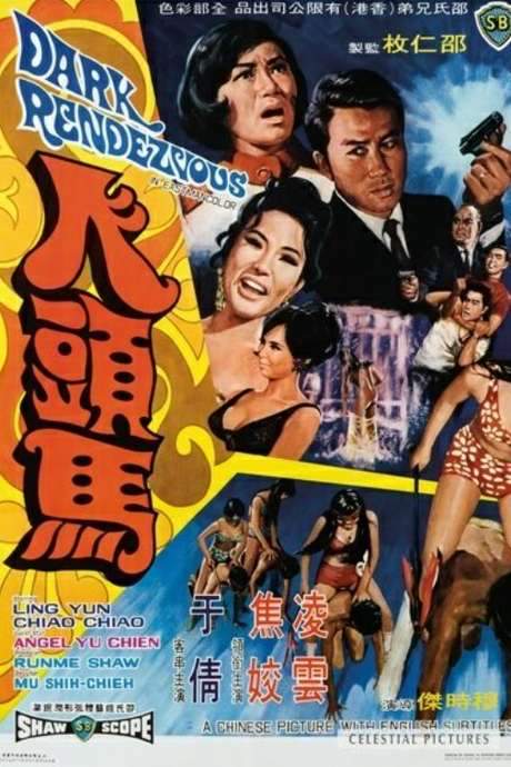 Dark Rendezvous (1969) movie poster