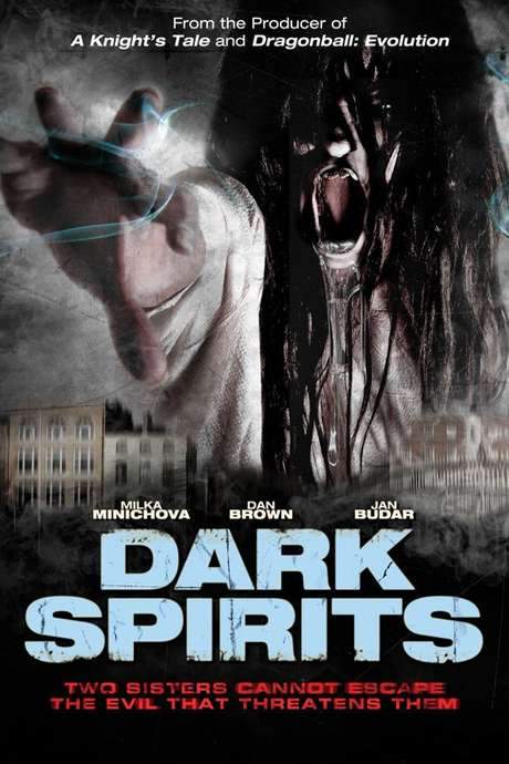 Dark Spirits (2008) movie poster