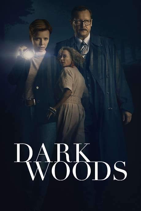 Dark Woods (2020) movie poster