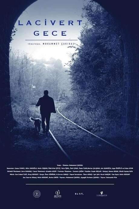 Dark Blue Night (2021) movie poster