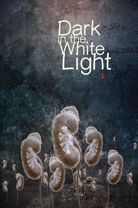Dark in the White Light (2015) movie poster