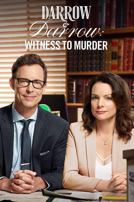 Darrow & Darrow: Witness to Murder (2019) movie poster