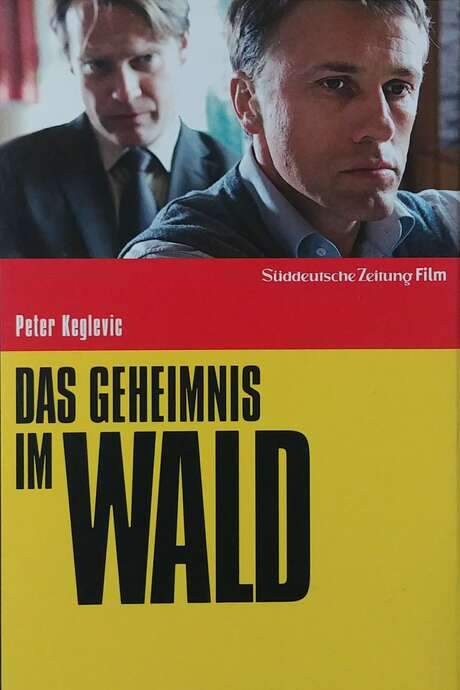 Das Geheimnis im Wald (2008) movie poster