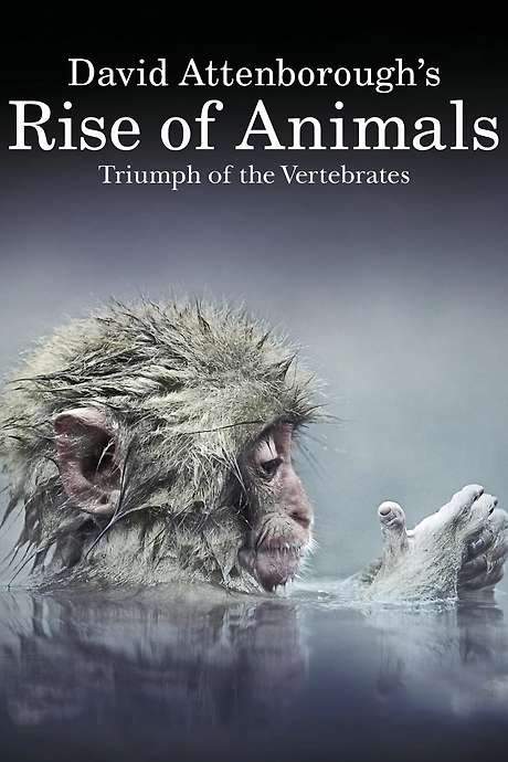 David Attenborough’s Rise of Animals: Triumph of the Vertebrates (2013) movie poster