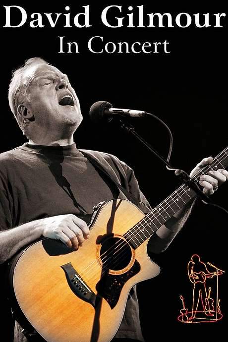 David Gilmour: In Concert (2002) movie poster