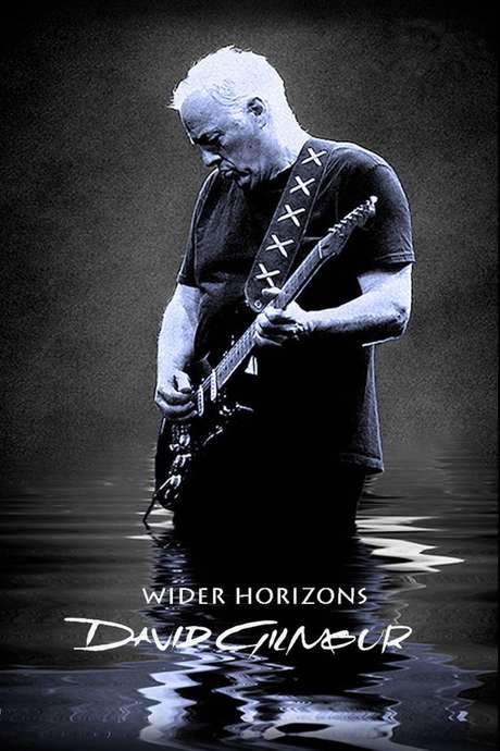 David Gilmour: Wider Horizons (2015) movie poster