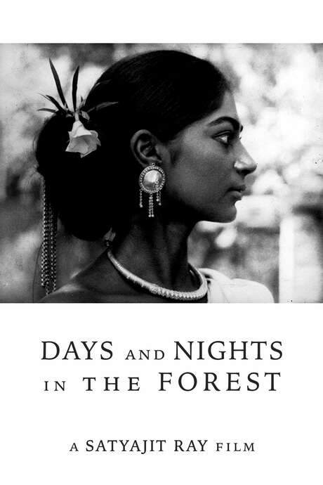 Days and Nights in the Forest (1970) movie poster