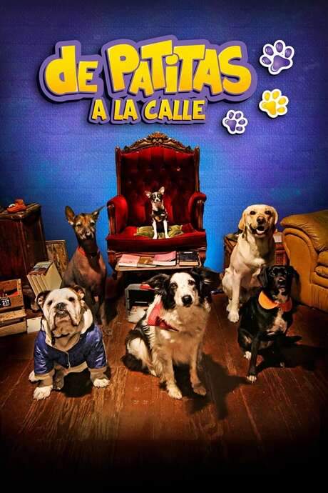 De patitas a la calle (2020) movie poster