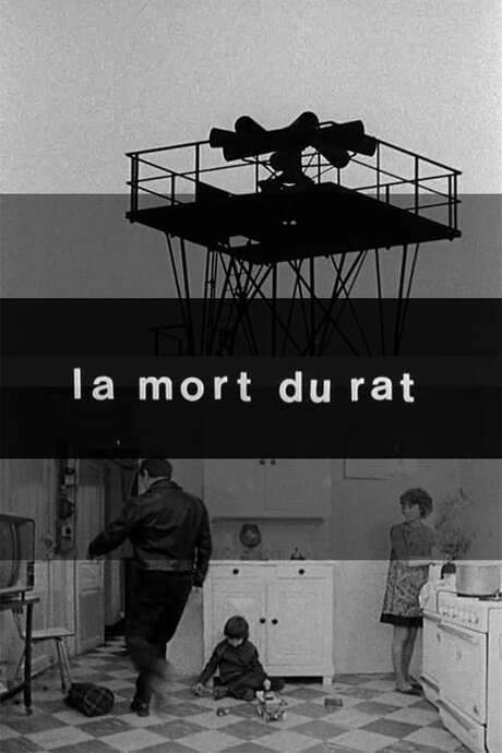 Death of the Rat (1975) movie poster