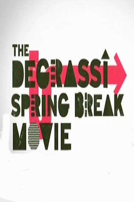 Degrassi Spring Break Movie (2008) movie poster