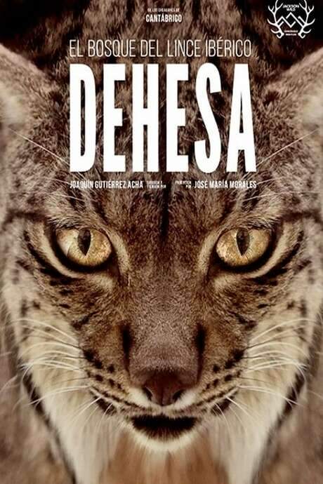 Dehesa: The Forest of the Iberian Lynx (2020) movie poster