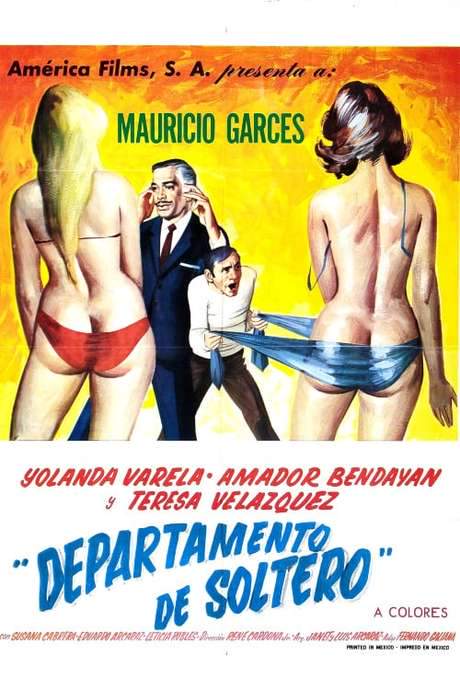 Departamento De Soltero (1971) movie poster