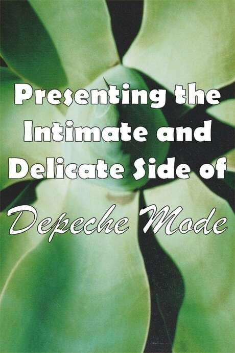 Depeche Mode: 1999–2002 “Presenting the Intimate and Delicate side of Depeche Mode” (2007) movie poster