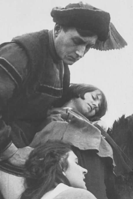 Der Ochsenkrieg (1920) movie poster