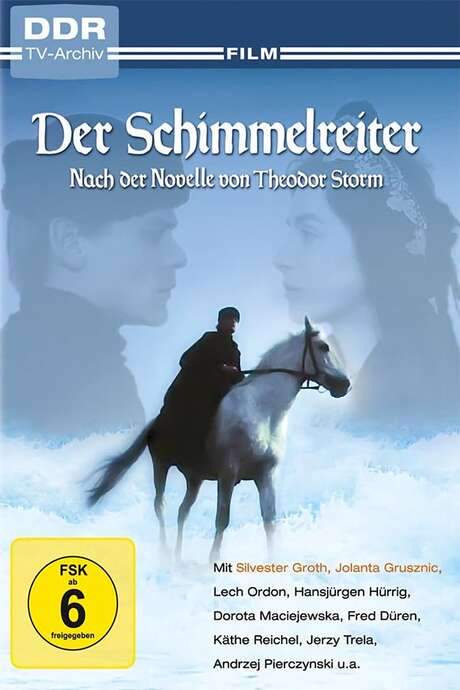 Der Schimmelreiter (1984) movie poster