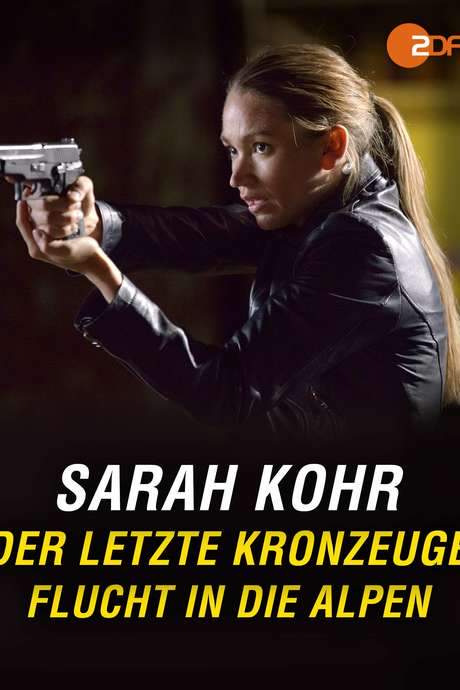 Der letzte Kronzeuge - Flucht in die Alpen (2014) movie poster