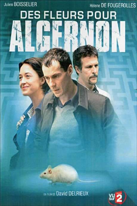 Des fleurs pour Algernon (2006) movie poster