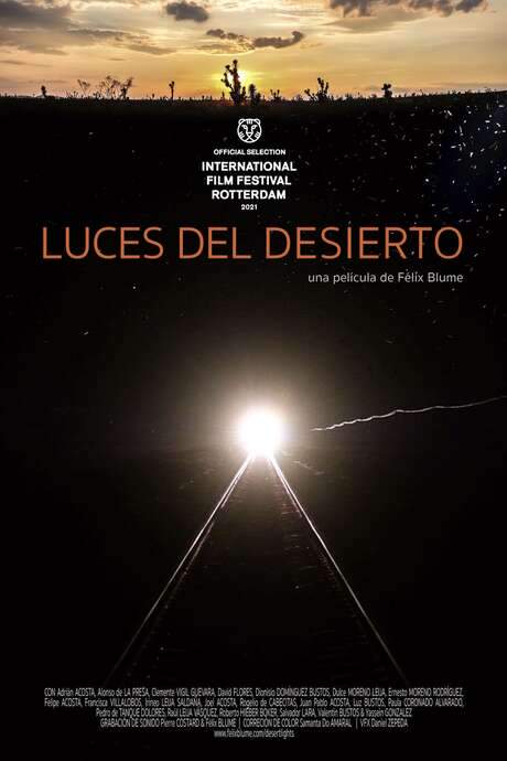 Desert Lights (2021) movie poster