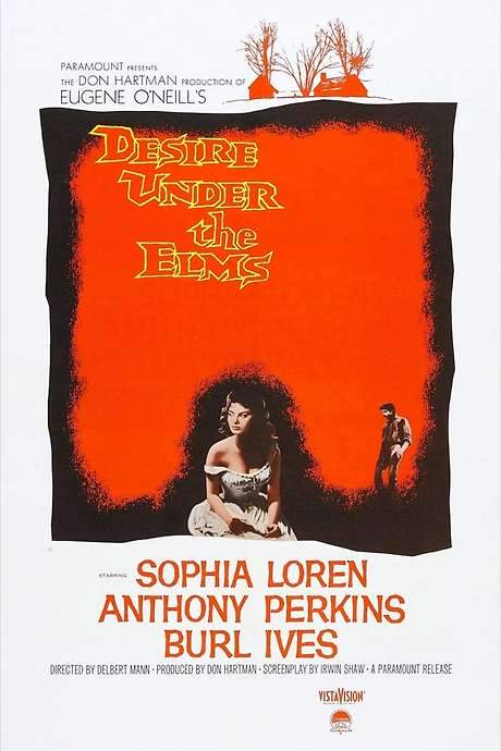 Desire Under the Elms (1958) movie poster