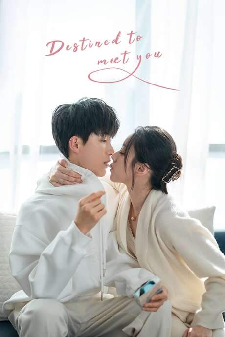 Destined to Meet You (2022) movie poster
