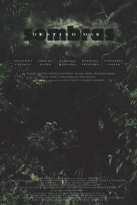 Destino das Sombras (2018) movie poster