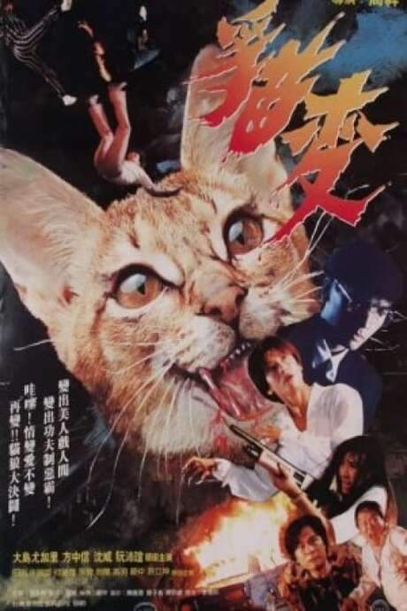 Devil Cat (1991) movie poster