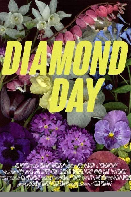Diamond Day (2015) movie poster